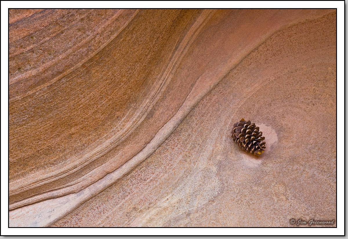 Sandstone and Pine Cone