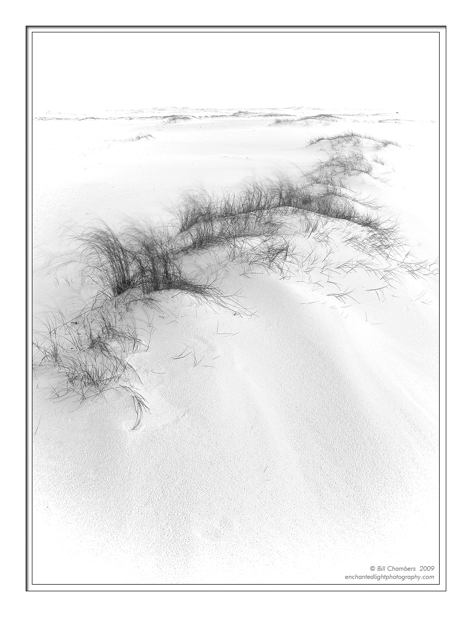 Dunes in Blowing Sand