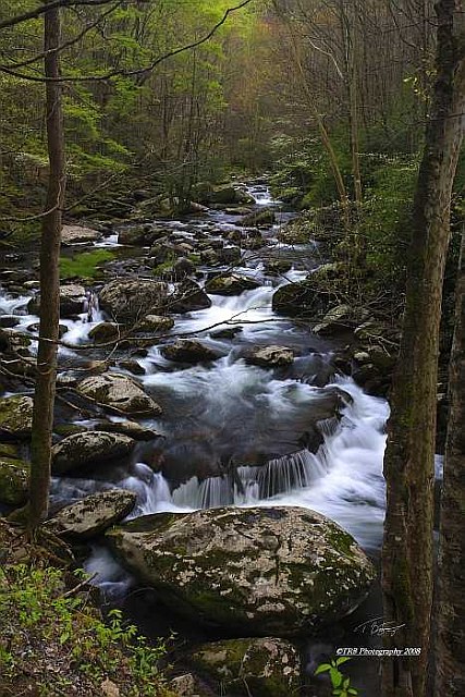 A Favorite Place, GSMNP