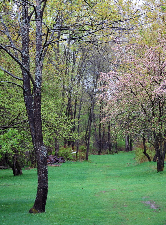 The Springtime Lane II