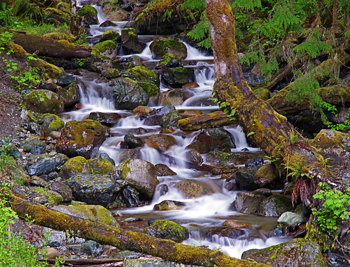 The Cascades