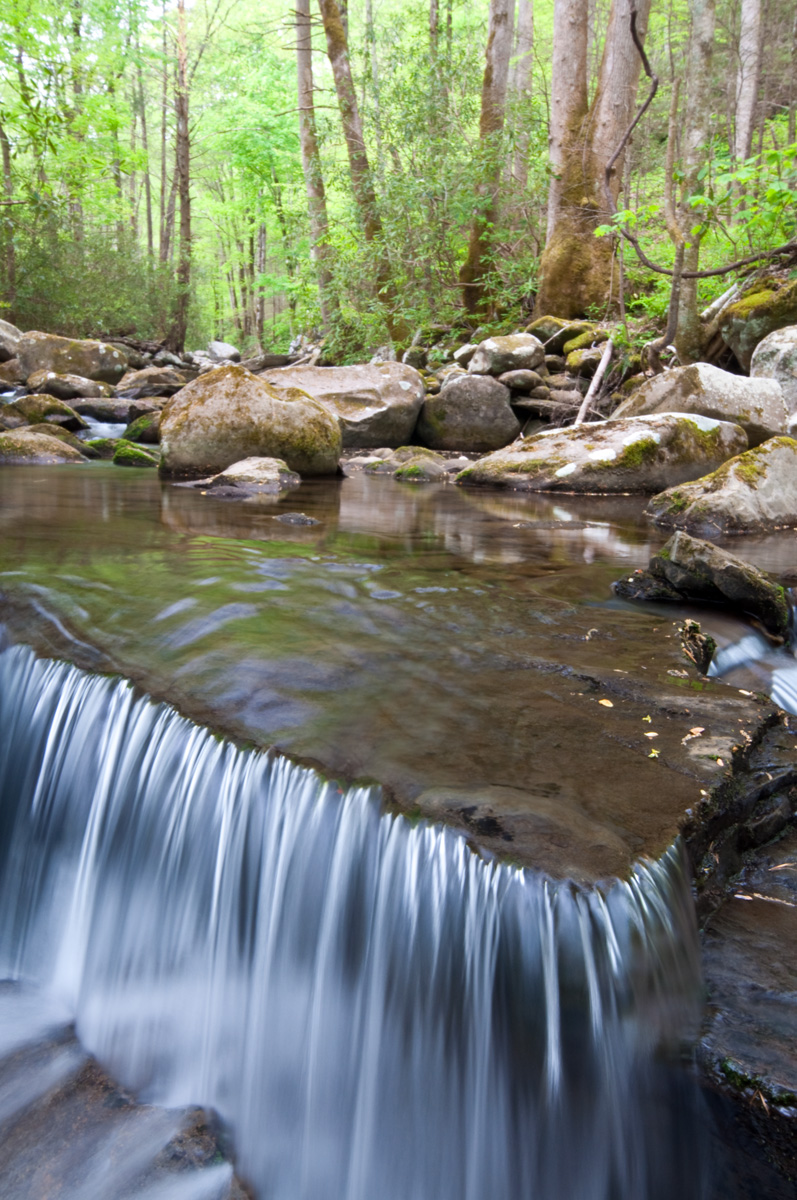 Smokey Mountain Stream