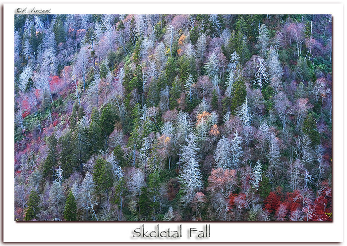 Skeletal Fall