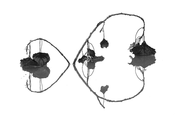 Leaf Ericson