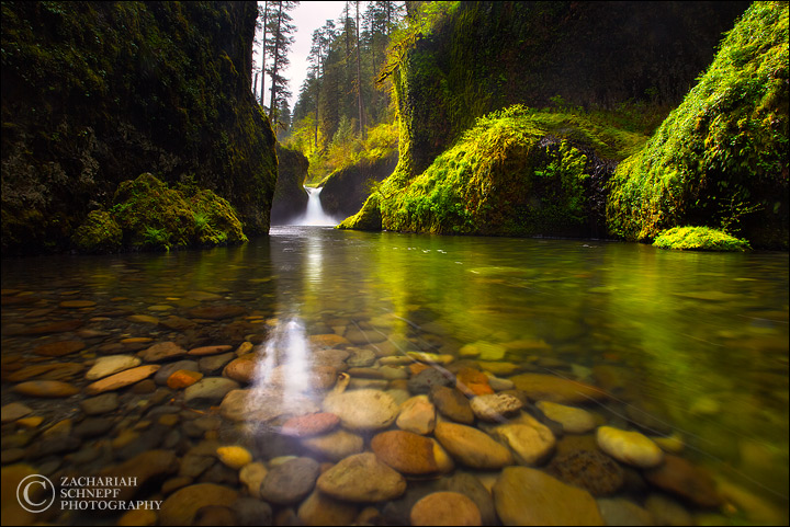 Good Old Punchbowl Falls