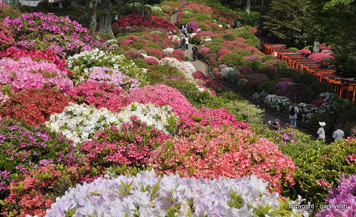 Japanese gardens