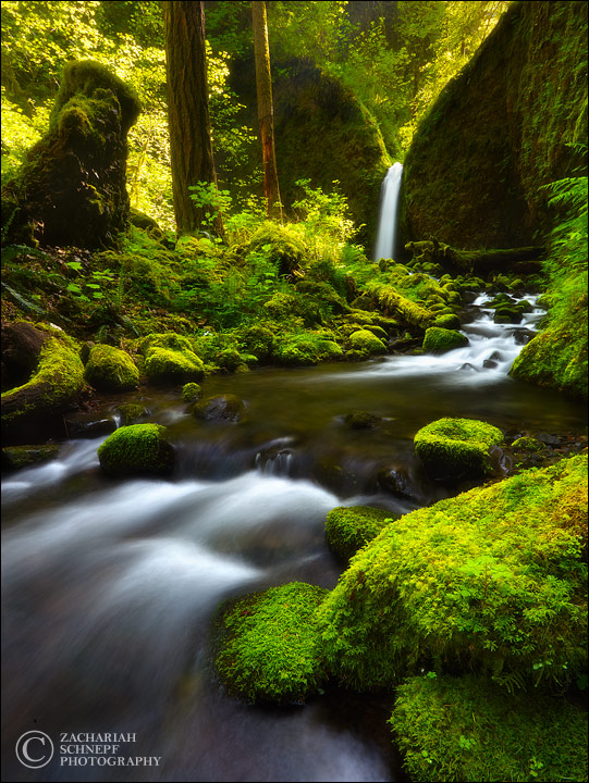 Paradise Falls