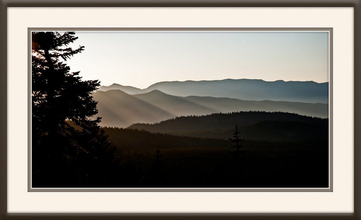 Evening Light