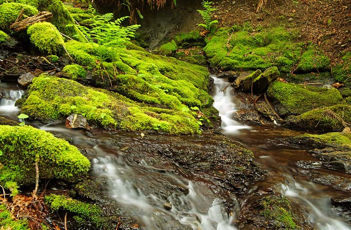 Hidden Creek