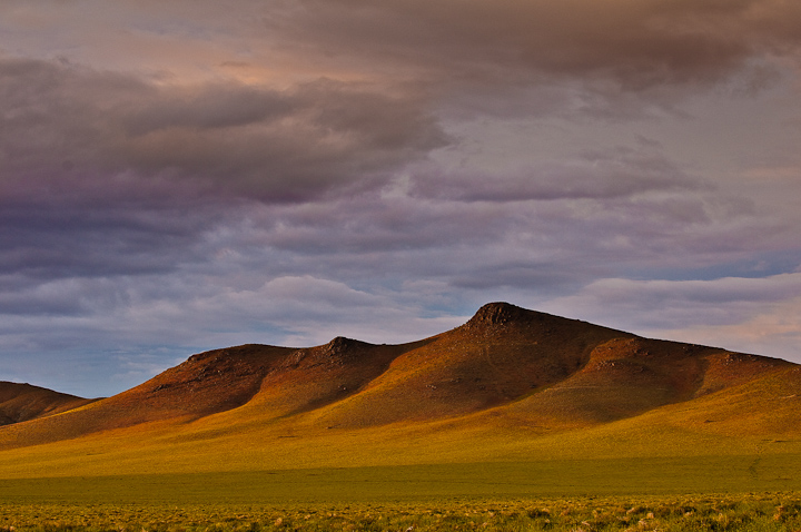 Spring in the Desert
