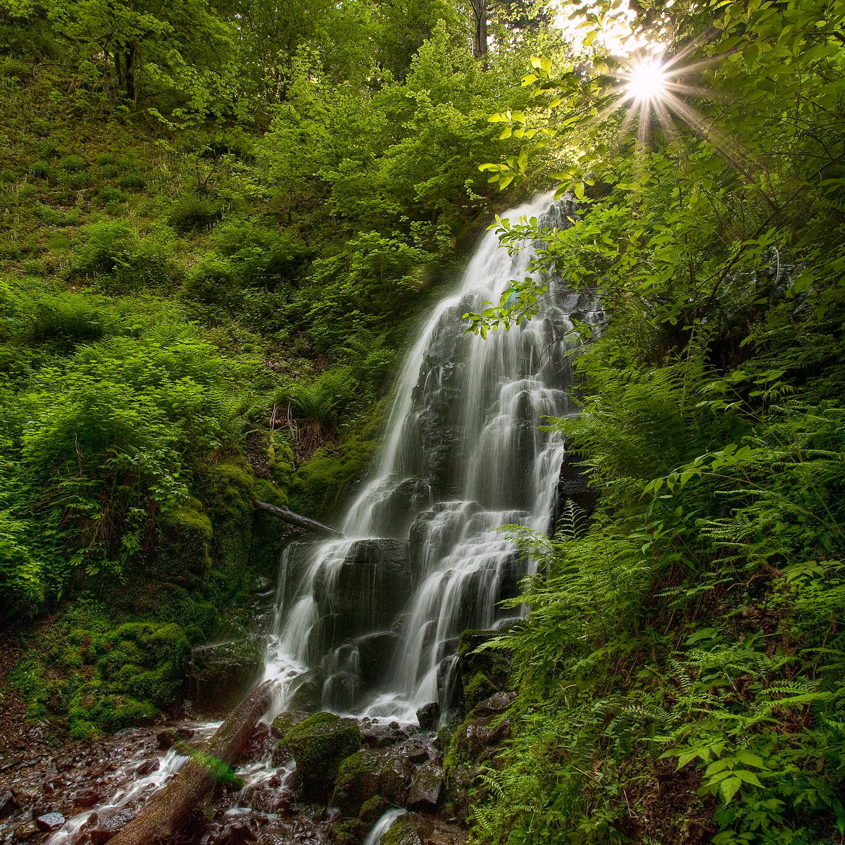 Fairy Falls