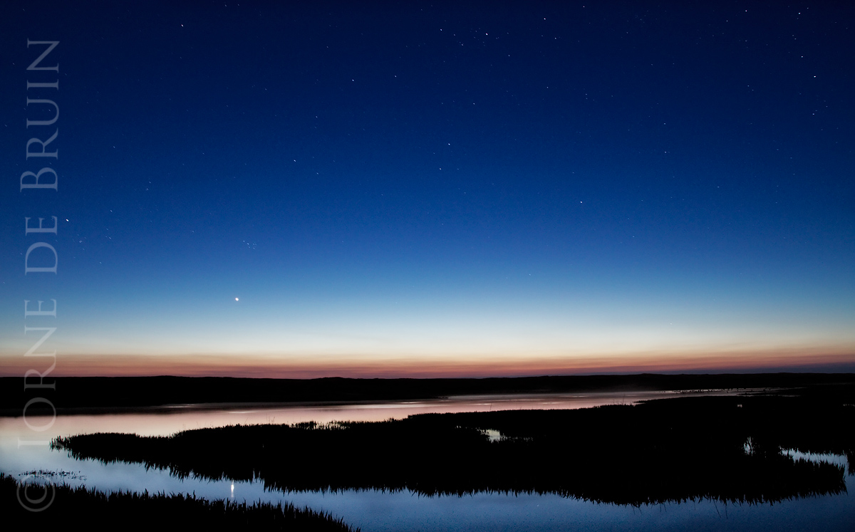 Starlit...