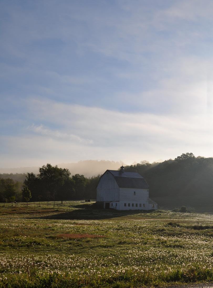 Magic Country Morning