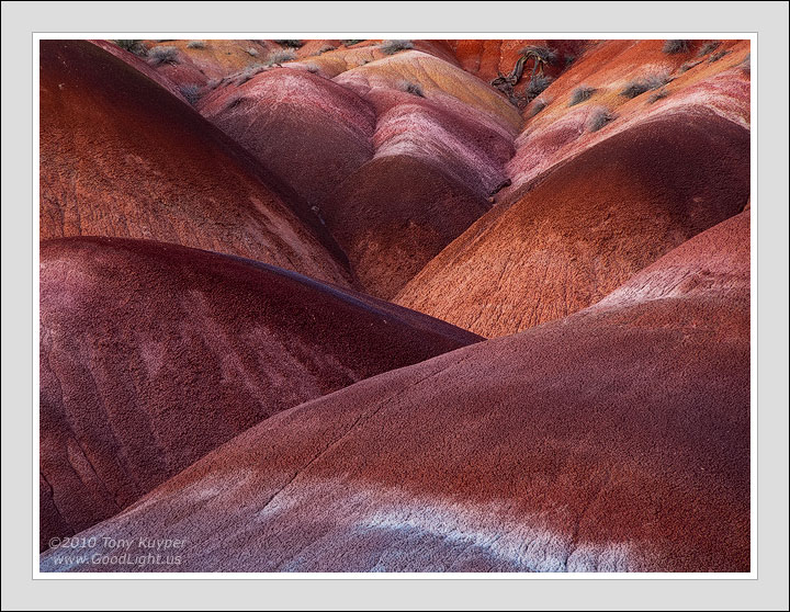 Bentonite Blossom