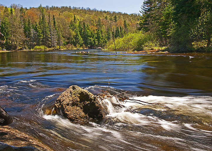 Raquette River