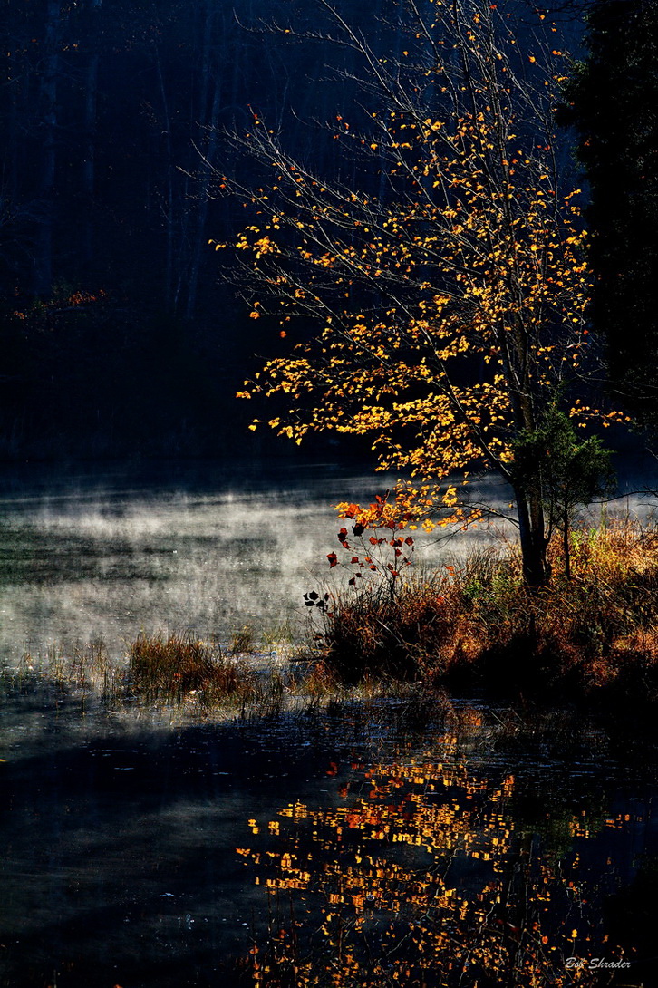 Solitude