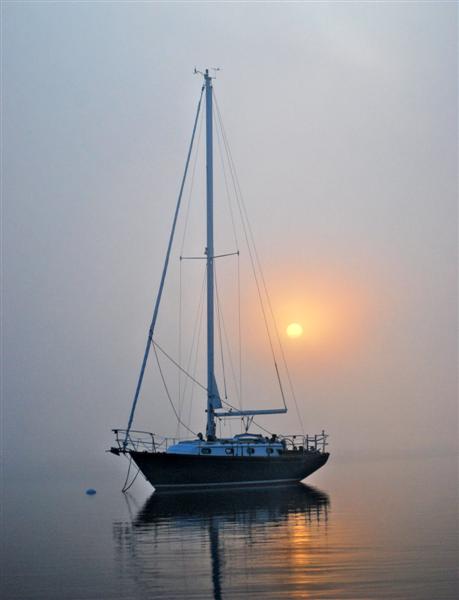 Foggy Morning 