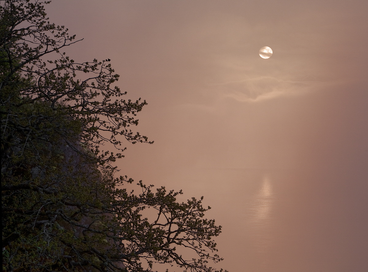 Foggy Morning, Cape Horn
