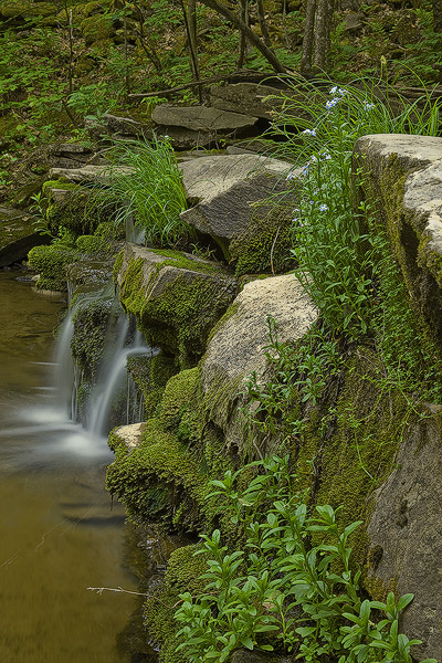 Wild Falls