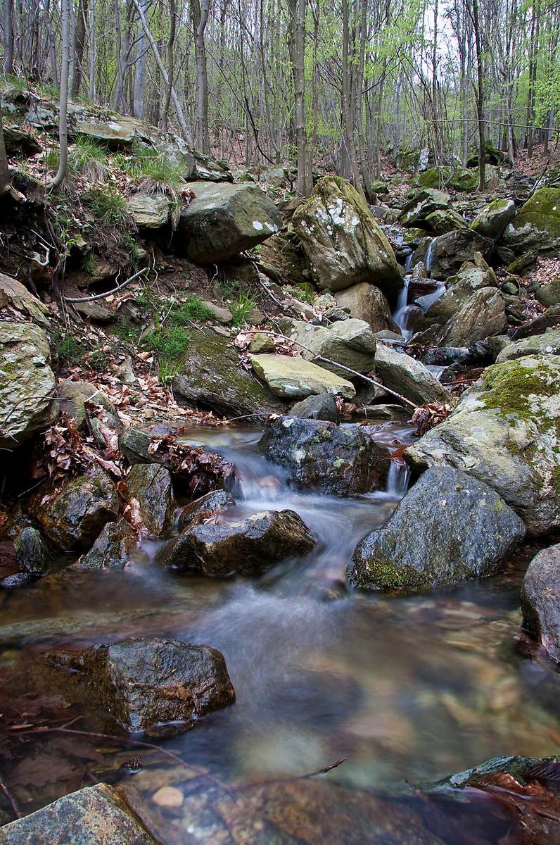 WC #434 Cascade