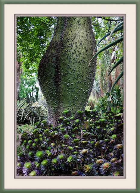 The Green Tree