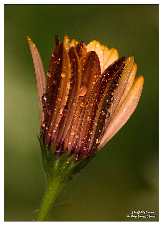 After The Rain