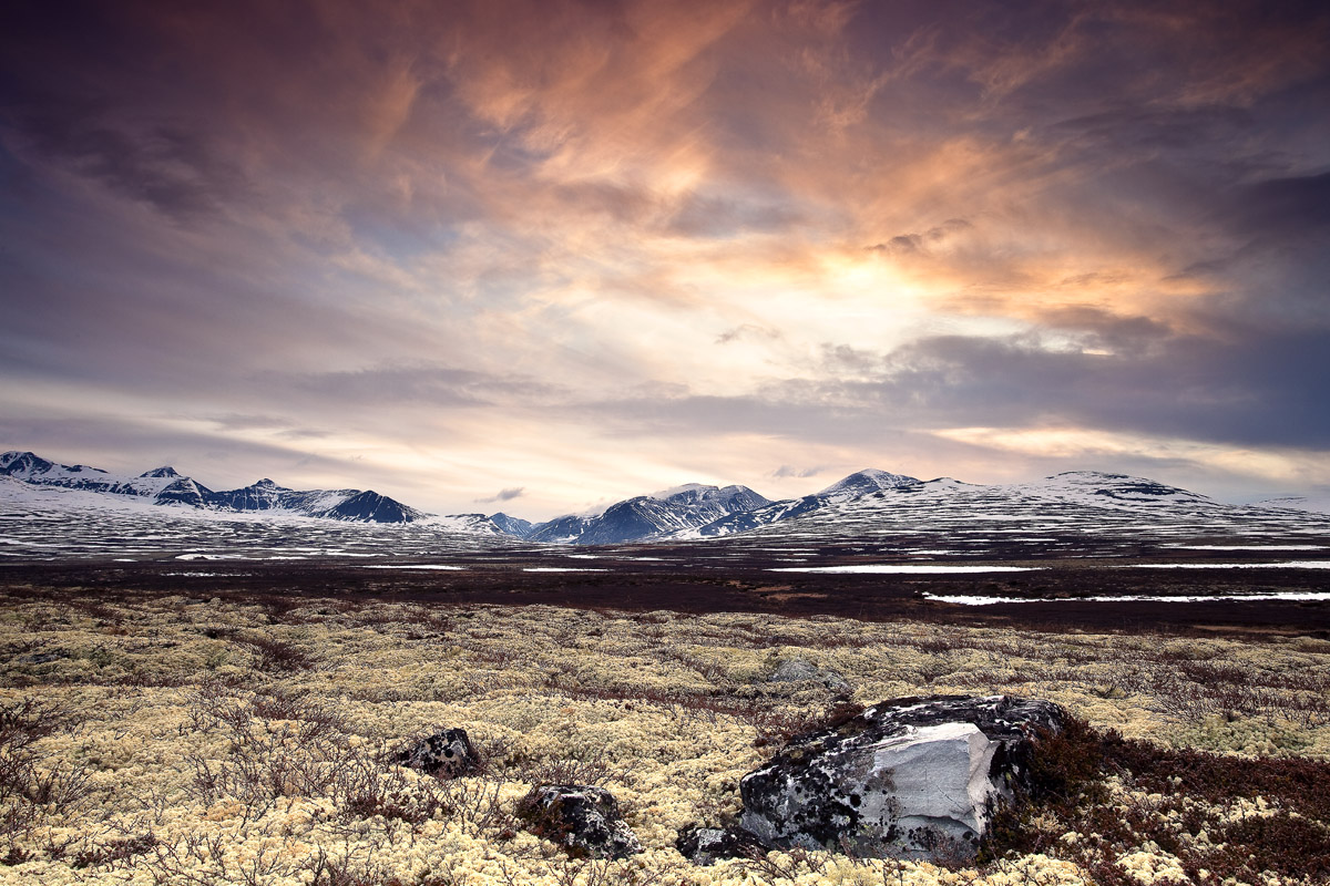 Morning in Rondane, Norway