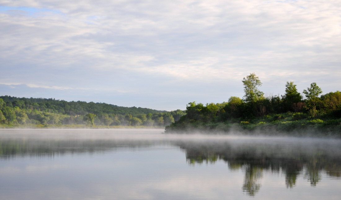 Into the Misty...