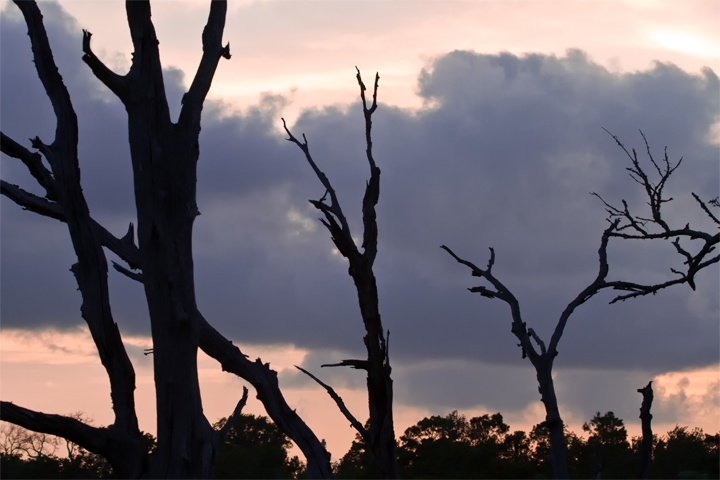 Hurricane Ike Aftermath