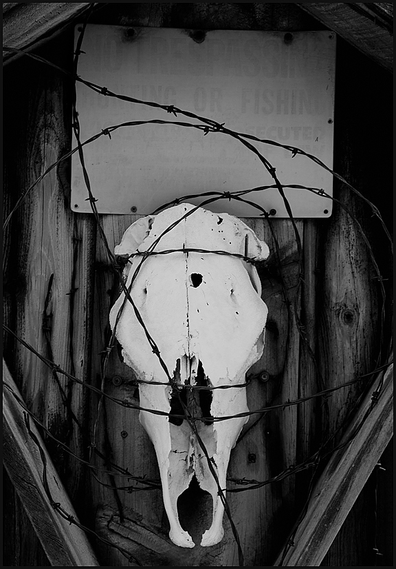 No Trespassing