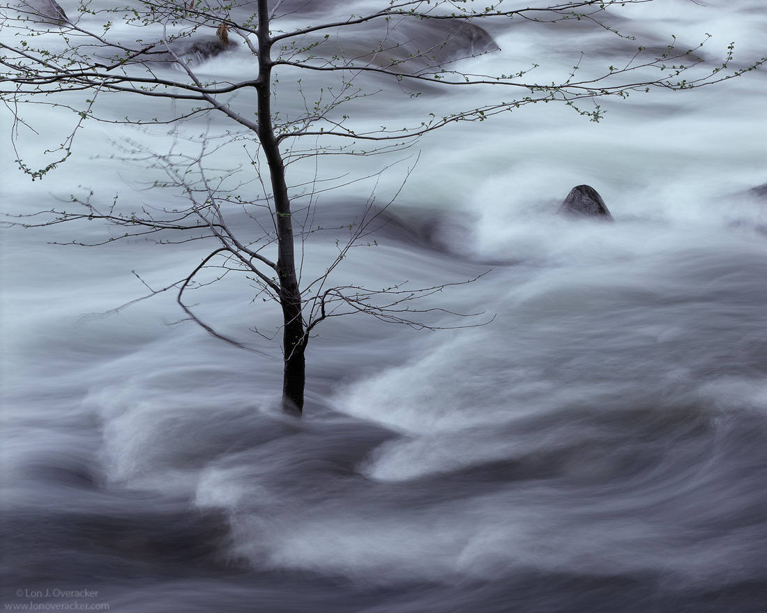 In the Flow III
