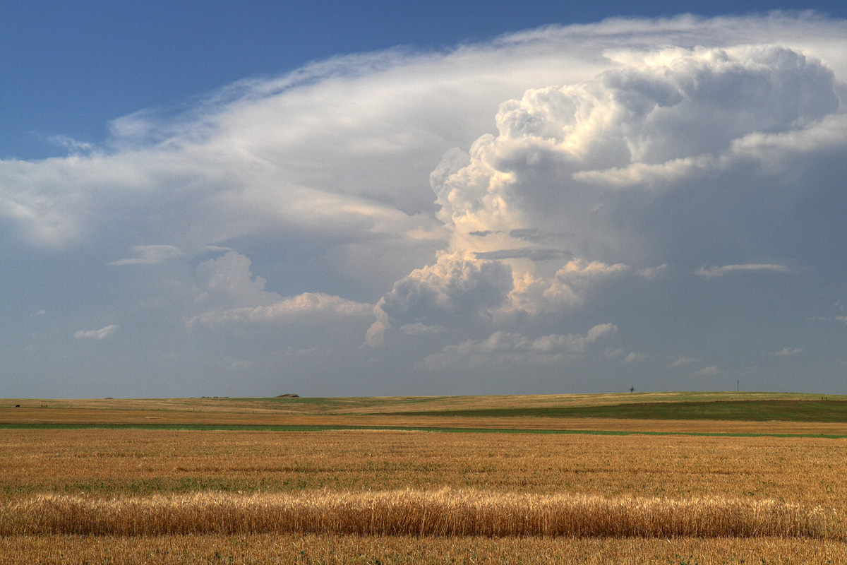 Harvest Storms