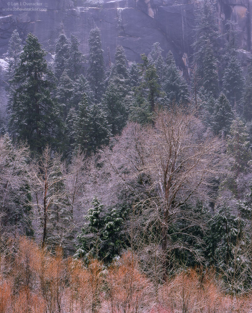 Winter's Touch II