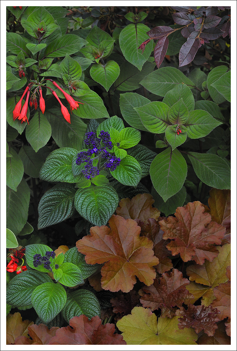 Garden Vignette