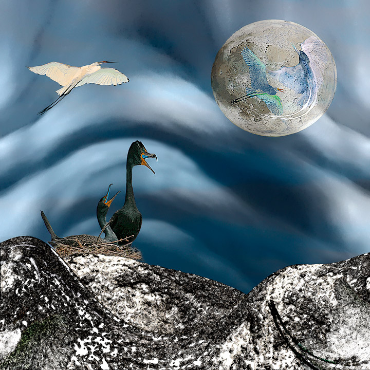 Howlin' at the Moon