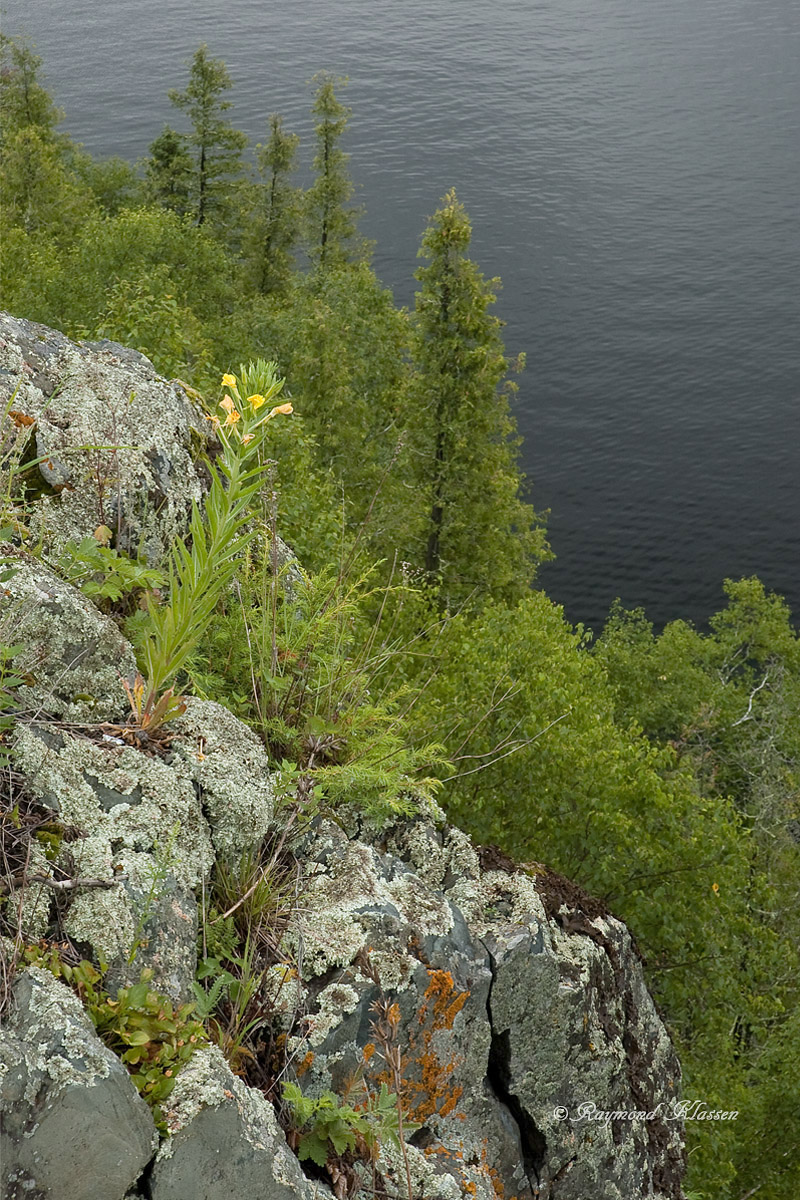 Above the Lake