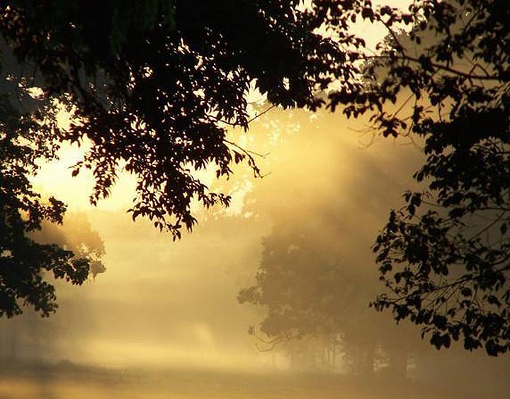 Sun and Fog