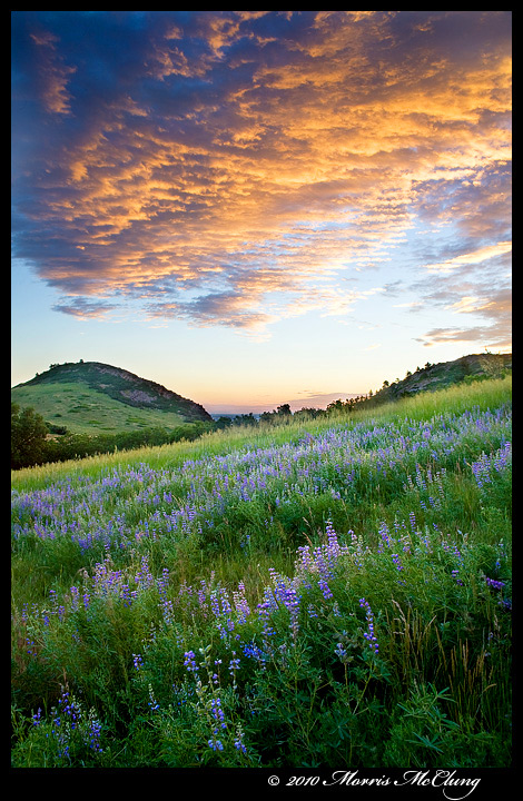 Roxborough's Bounty