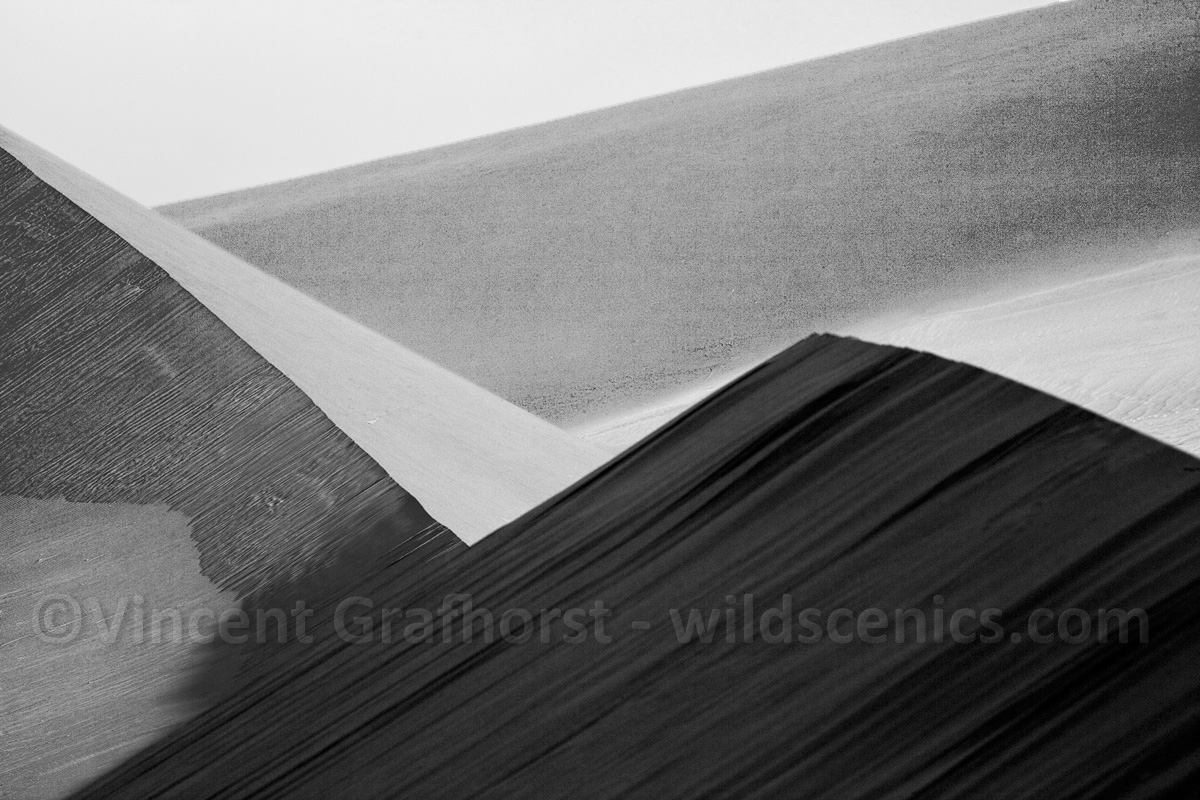 Dune Lines