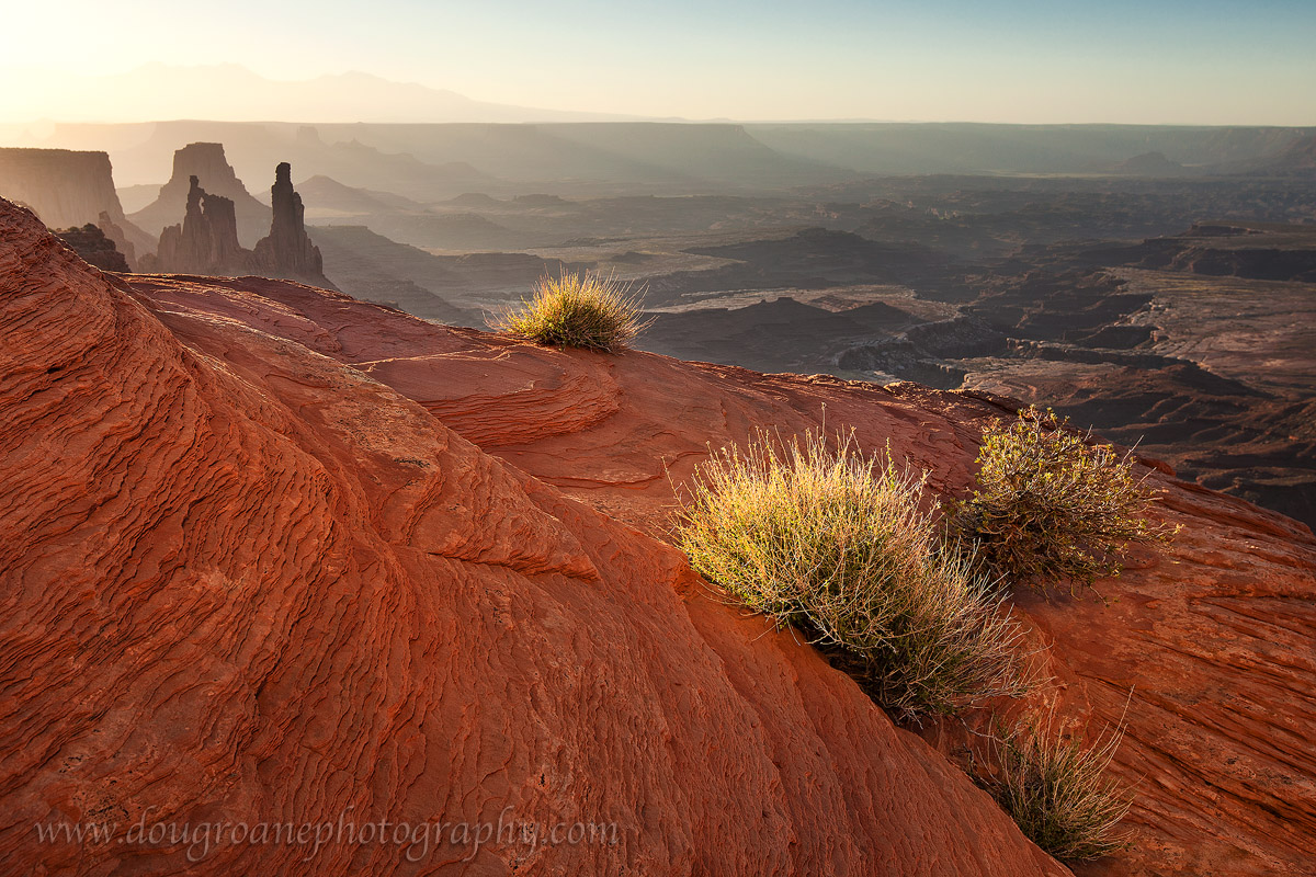 Desert Morning