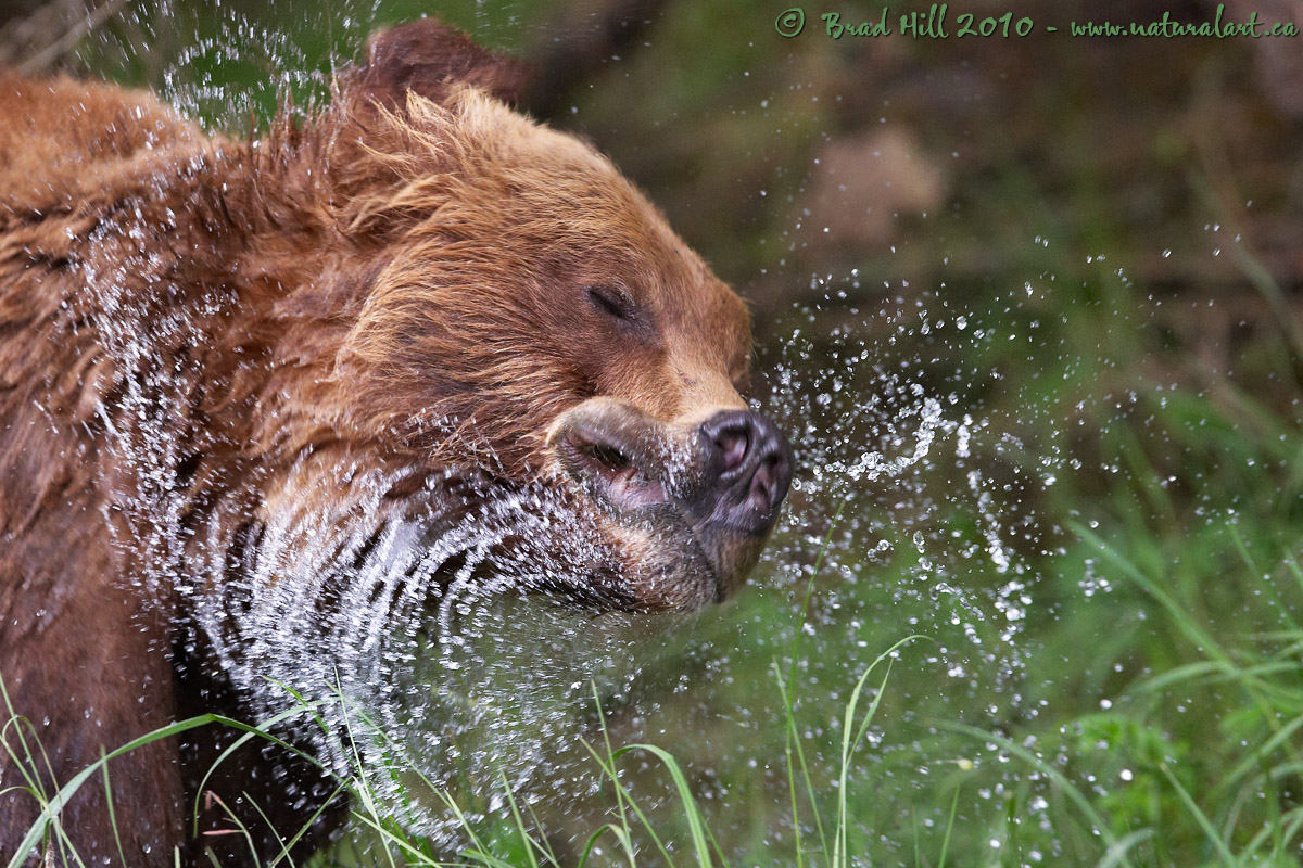 Faster than a Blow-dryer