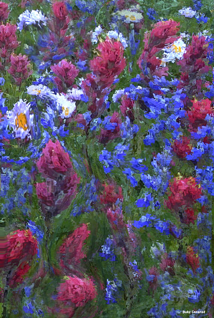 Wild Flower Impressionism
