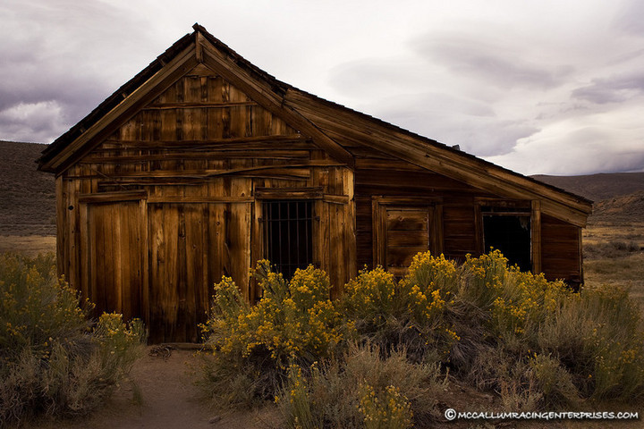 WC 441: Boadie, Jail