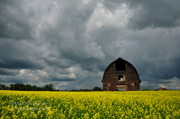Prairie Storm