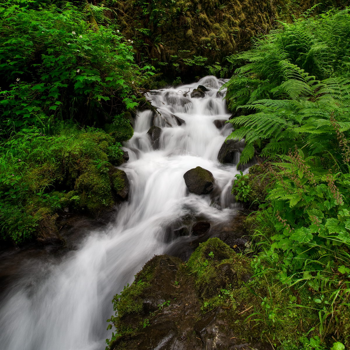 Wahkeena Creek