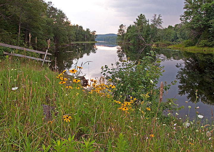 Summer's Evening