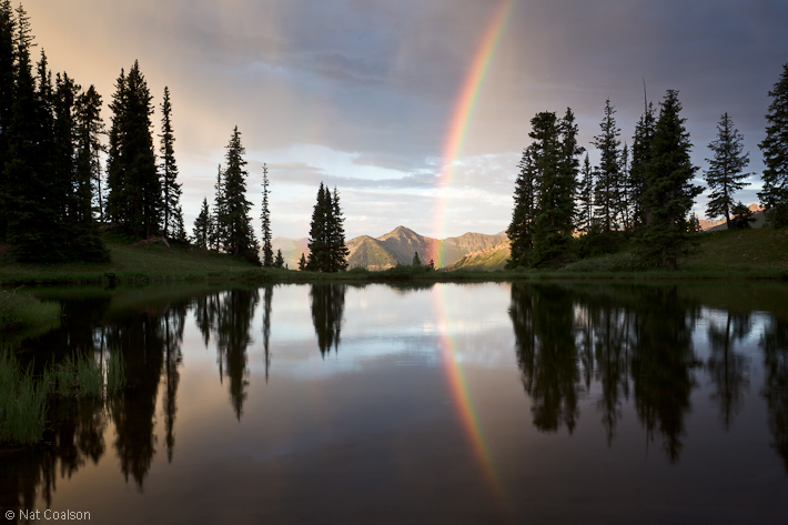 Paradise Divide w/ Repost