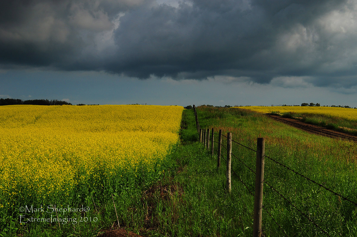 Prairie Storm 2