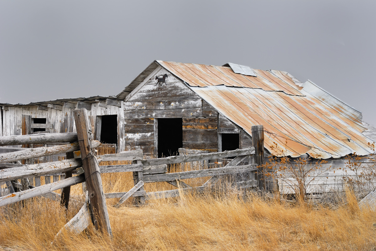  Abandoned Horse Barn 