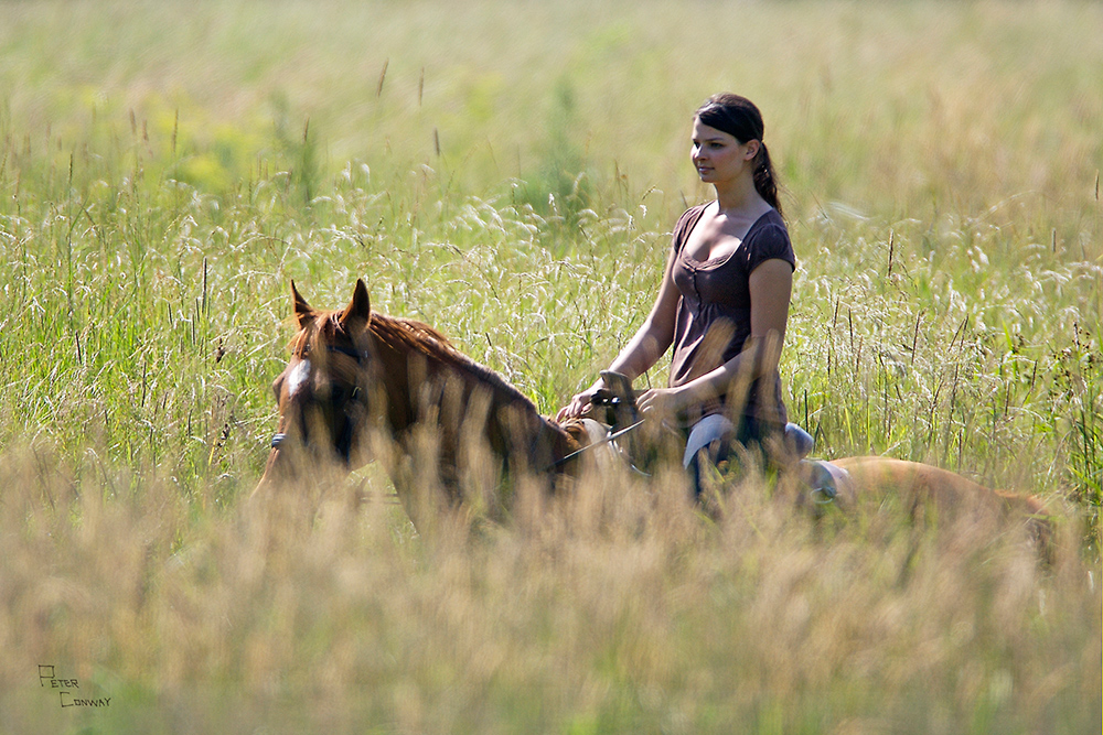 Through the tall grass